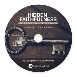 Hidden Faithfulness
