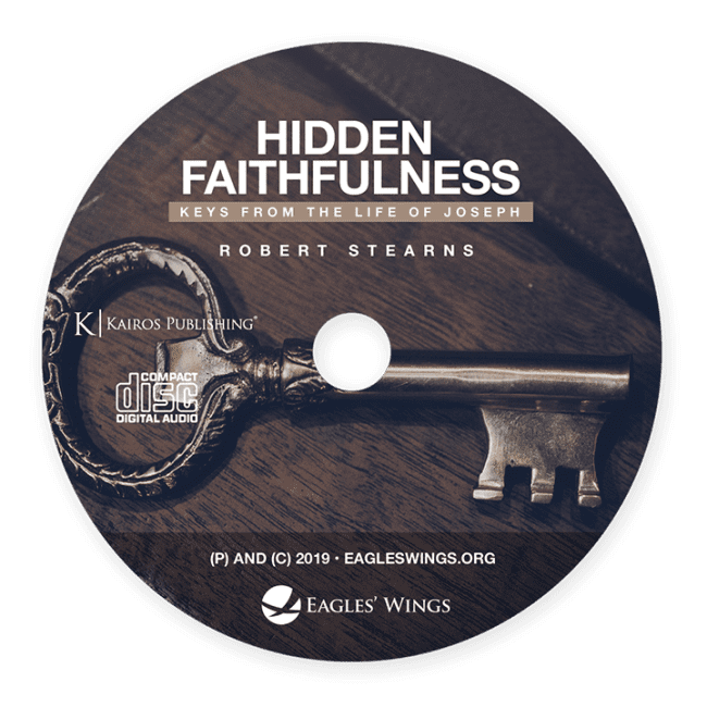 Hidden Faithfulness
