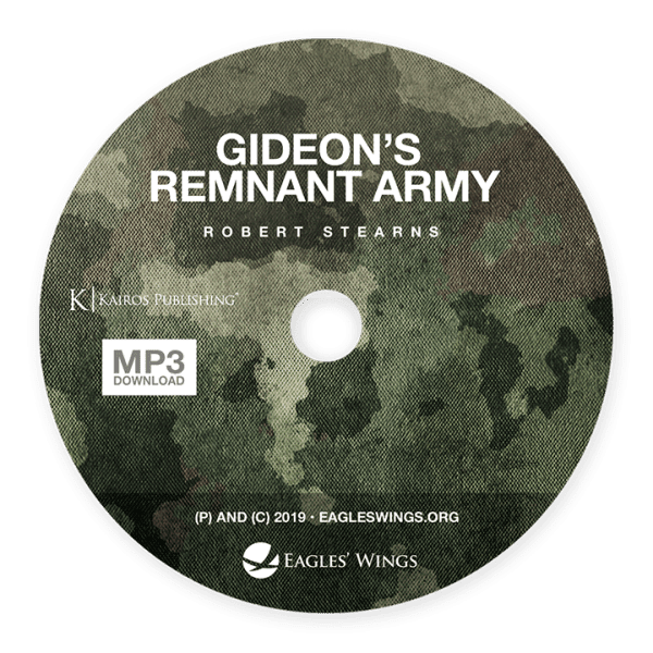 Gideon's Remnant Army - Image 2
