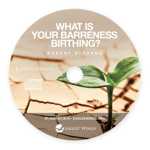 What is Your Barrenness Birthing?