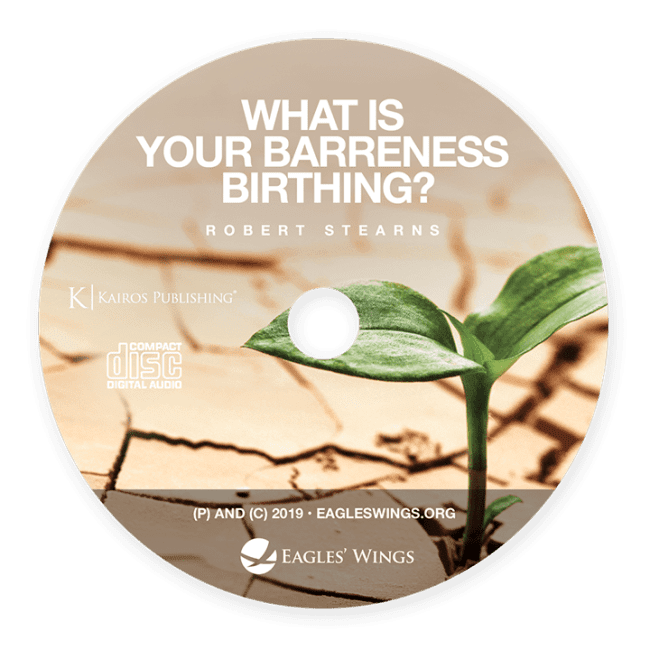 What is Your Barrenness Birthing?