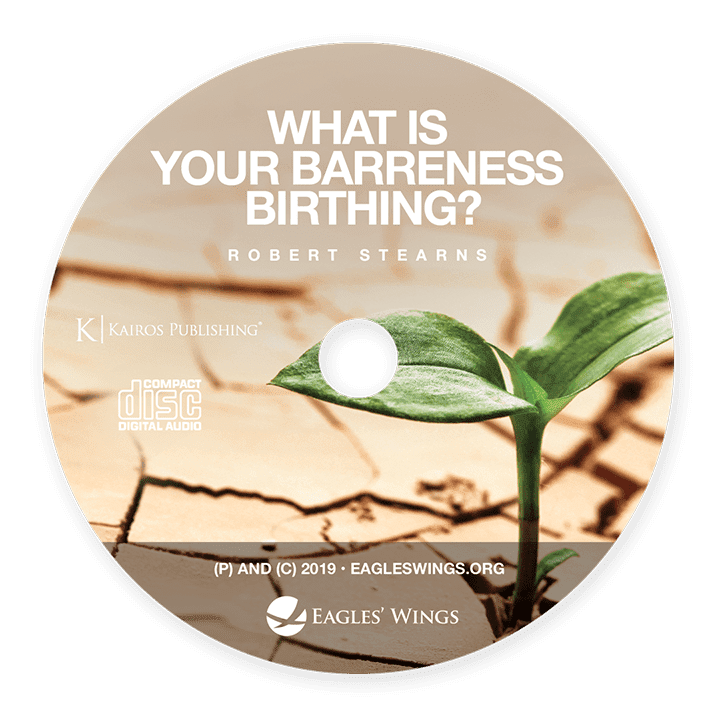 What is Your Barrenness Birthing?