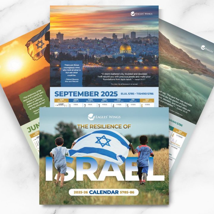 Eagle’s Wings 2025-26 Wall Calendar: The Resilience of Israel - Image 2