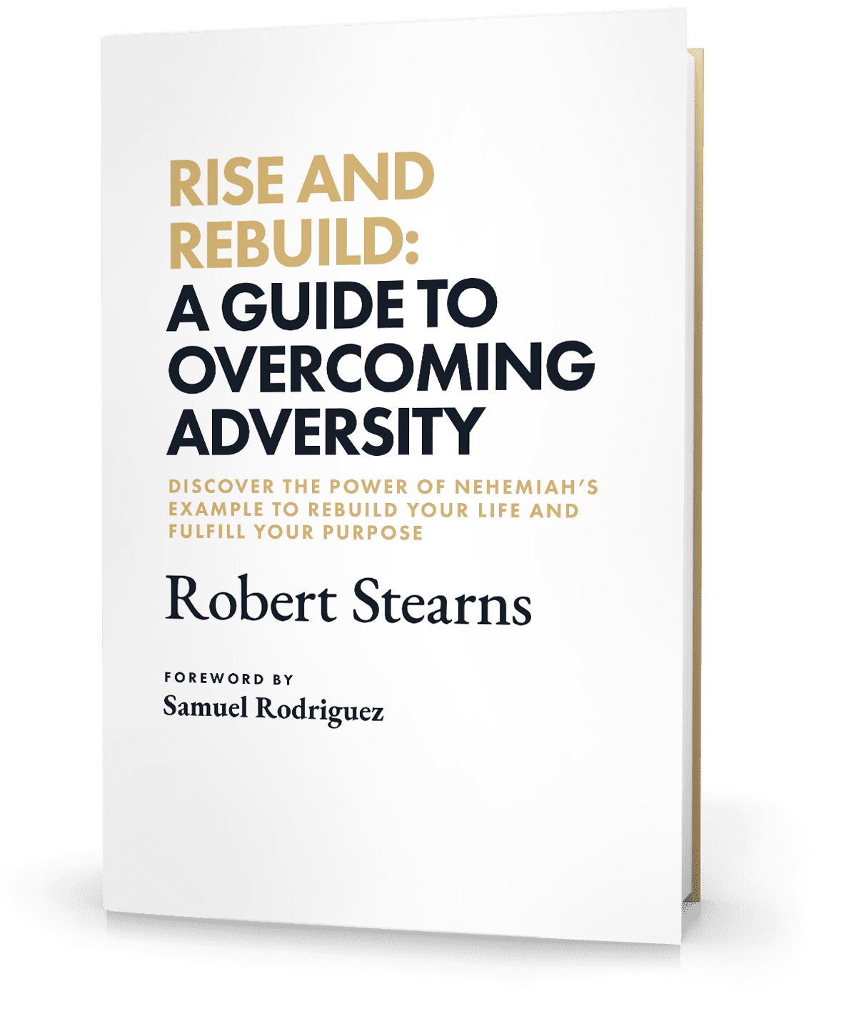 Rise and Rebuild: A Guide to Overcoming Adversity