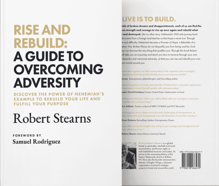 Rise and Rebuild: A Guide to Overcoming Adversity - Image 2